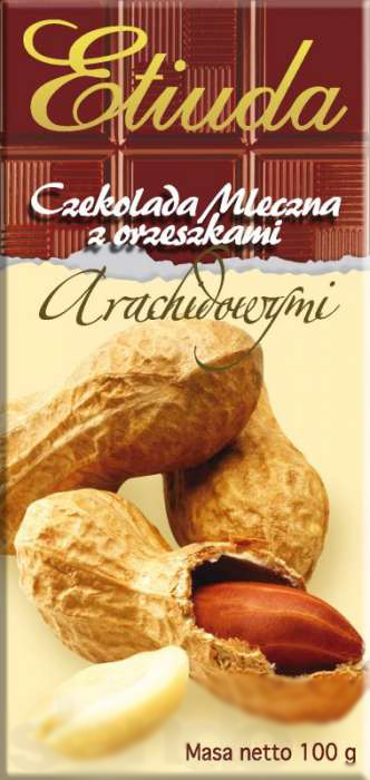 Шоколад Etiuda 100г (Польша)