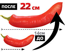 СУПЕРПОТЕНЦИЯ У ВАС В КАРМАНЕ!