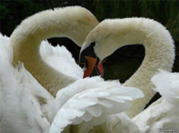 Гадание на Таро, Ленорман, Книга Судеб, Кащуны 50 грн