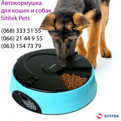 Автокормушка для кошек и собак оригинал бренда SITITEK Pets