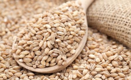 Перловка,Артек пшеничный,ячневый.Сечка пшенная.