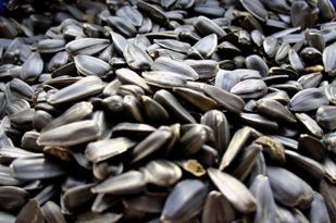 Подсолнечник, отходы.