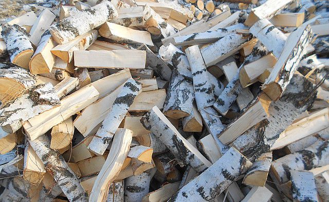 дрова безёзовые колотые не дорого