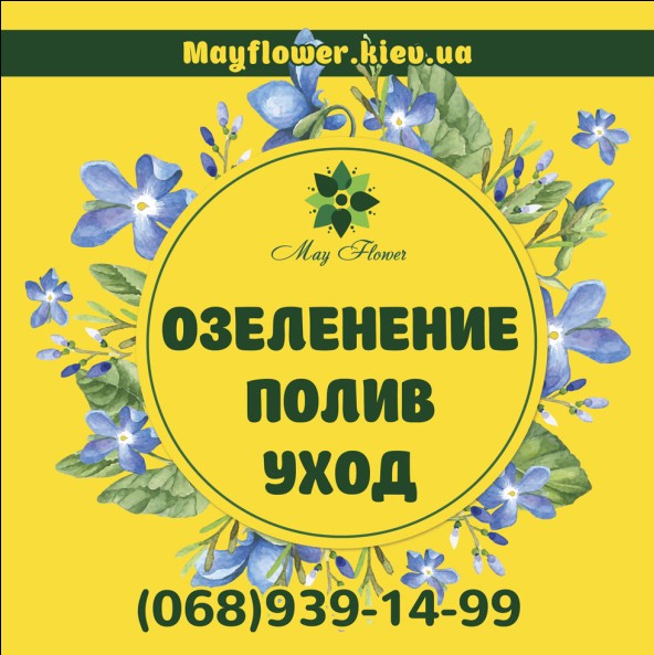 Уход за садом, озеленение, услуги садовника, посадка и обрезка деревьев