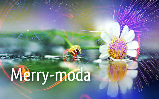 Merry-moda