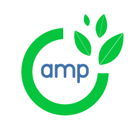AMP Digital Organic Agency