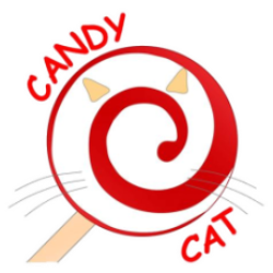 Агентство детских праздников «Candy Cat»
